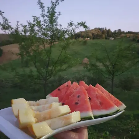 Casa de Férias Sumski Mir - - With Pool And Jakuzzi *