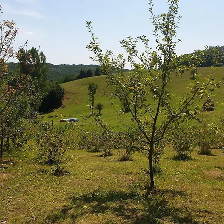 Casa de Férias Sumski Mir - - With Pool And Jakuzzi *